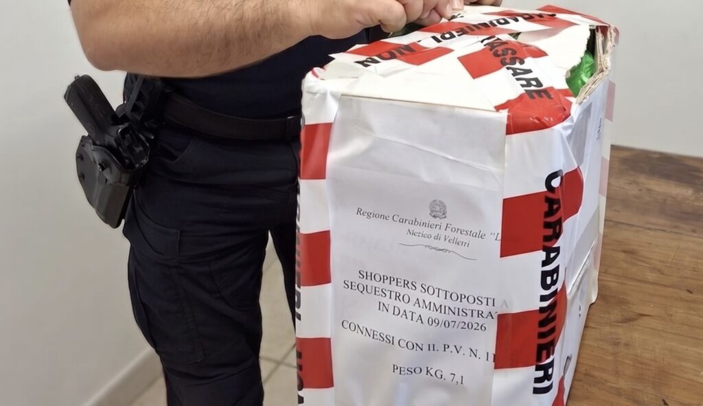 Guerra agli shopper fuorilegge: multe a Roma per le buste di plastica illegali. Guida pratica per non farsi ingannare 1 Guerra agli shopper fuorilegge: multe a Roma per le buste di plastica illegali. Guida pratica per non farsi ingannare 1
