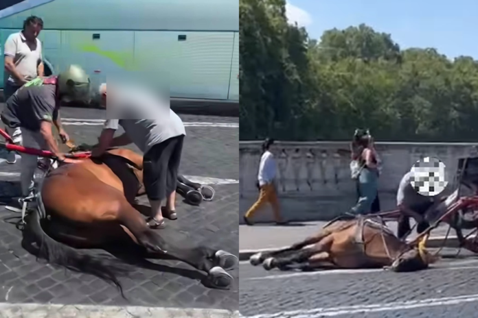 Il cavallo delle botticelle è stramazzato sul pavé rovente in mezzo al traffico sotto gli occhi dei turisti e passanti