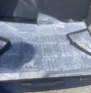 La Polizia di Stato scopre un appartamento usato come deposito: un maxi sequestro di hashish e marijuana alla Magliana porta all'arresto di un 47enne milanese