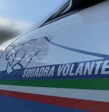 Un 38enne arrivato dalla Calabria in treno è stato intercettato dalle volanti della polizia nella periferia ovest di Roma: a tradirlo l'odore della droga nella borsa. I dettagli sul corriere arrestato a Bastogi