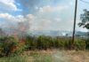 Grosso incendio boschivo a Capena: fiamme vicino alle case e strade chiuse