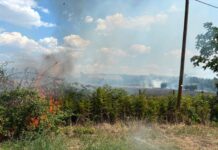 Grosso incendio boschivo a Capena: fiamme vicino alle case e strade chiuse