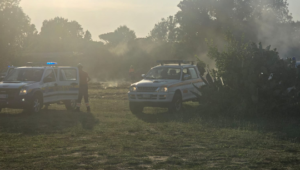 Incendio di sterpaglie all'Infernetto: sul posto i mezzi dei vigili del fuoco (VIDEO E FOTO) 1