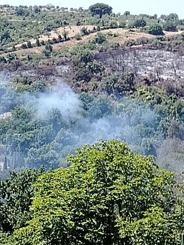 Maxi incendio a Monte Ciocci: alta colonna di fumo su Roma. Paura per un distributore di benzina 2