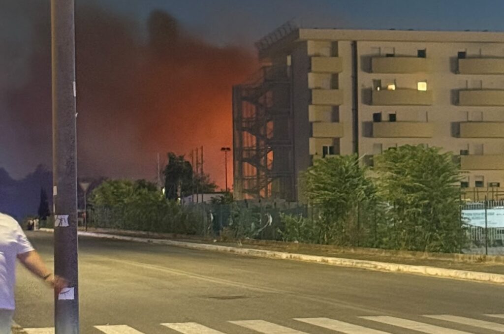 Incendi nel Lazio, oltre 500 roghi dal 15 giugno: Roma è la città più colpita. L'ombra dei piromani 1