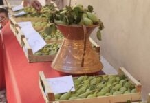 Sagra della Pera Spadona 2026 a Castel Madama: tra gusto raro e il ritmo del Saltarello