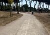 Villa Guglielmi, abbattimento urgente di 17 alberi: area interdetta