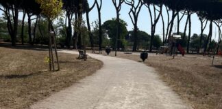 Villa Guglielmi, abbattimento urgente di 17 alberi: area interdetta