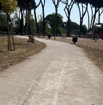 Villa Guglielmi, abbattimento urgente di 17 alberi: area interdetta