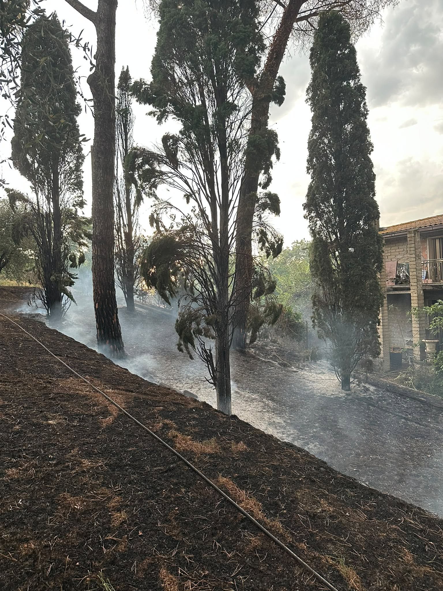 Incendi Roma oggi, roghi a Selva Candida e Tor Cervara: fiamme vicine alle case e fumo sulla città 1