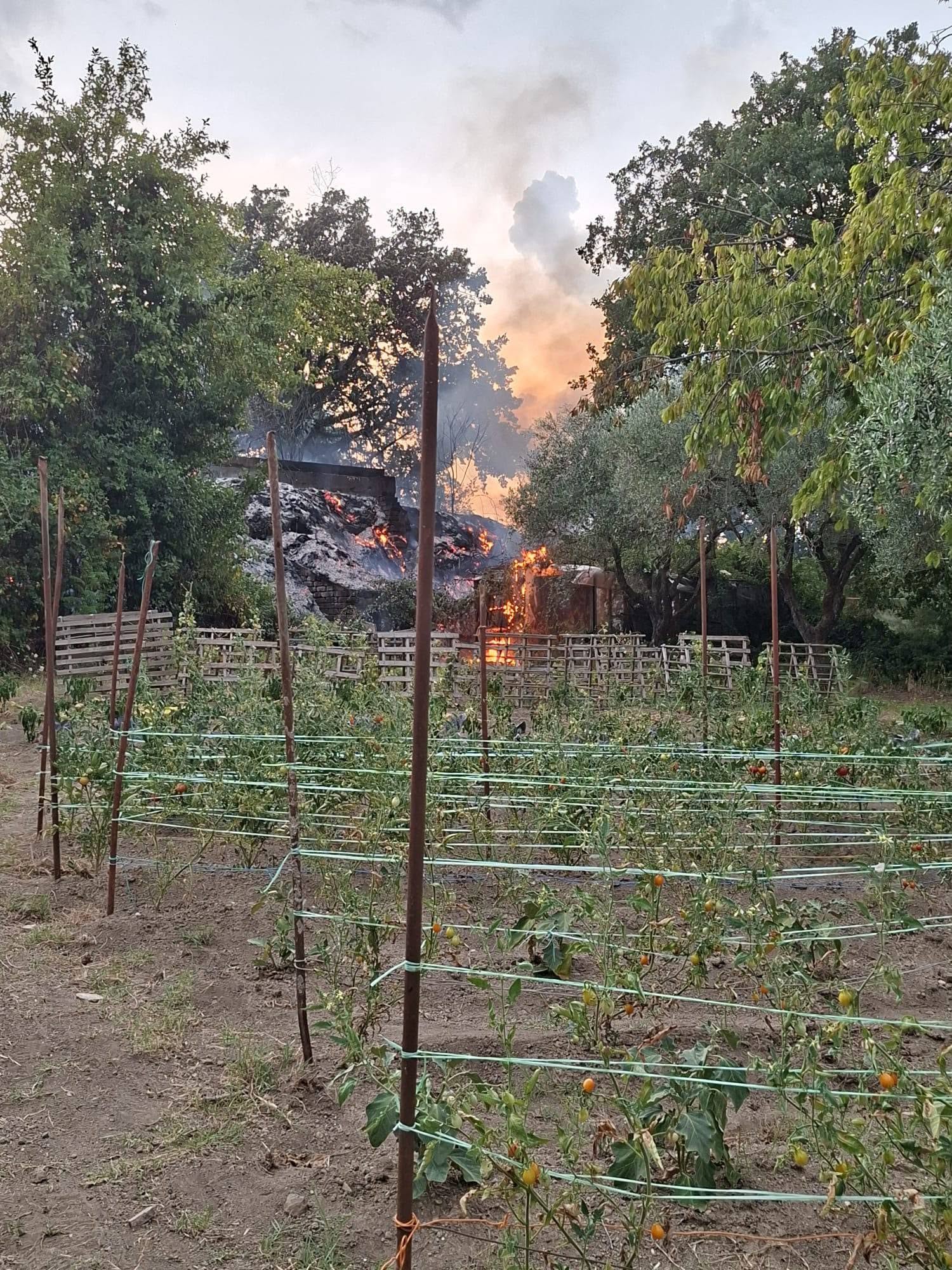 Incendi Roma oggi, roghi a Selva Candida e Tor Cervara: fiamme vicine alle case e fumo sulla città 2