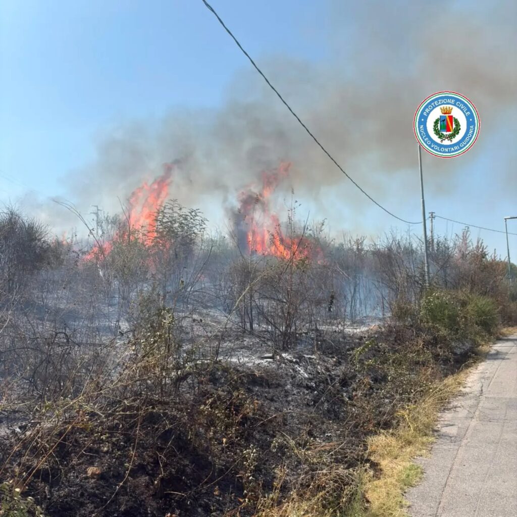 Pomeriggio di fuoco a Tor Mancina, Monterotondo: incendio nei terreni del Centro di Ricerca di Zootecnia 1