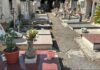 Mentre il sindaco Cecchi presentava in video i lavori al Cimitero monumentale di Marino, ignoti danneggiavano alcune tombe, tra cui quella dei familiari di una consigliera comunale