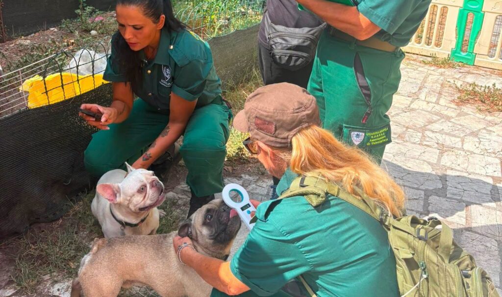 I cani sequestrati a Sacrofano arrivano da un allevamento casalingo dove gli operatori hanno trovato condizioni giudicate incompatibili con il benessere animale. L'attivista Enrico Rizzi ha inoltre denunciato l'allevatrice per maltrattamento