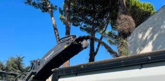 Piano Asfalti 2026 a Cerveteri: partiti lavori sulle strade per 950mila euro Home 11