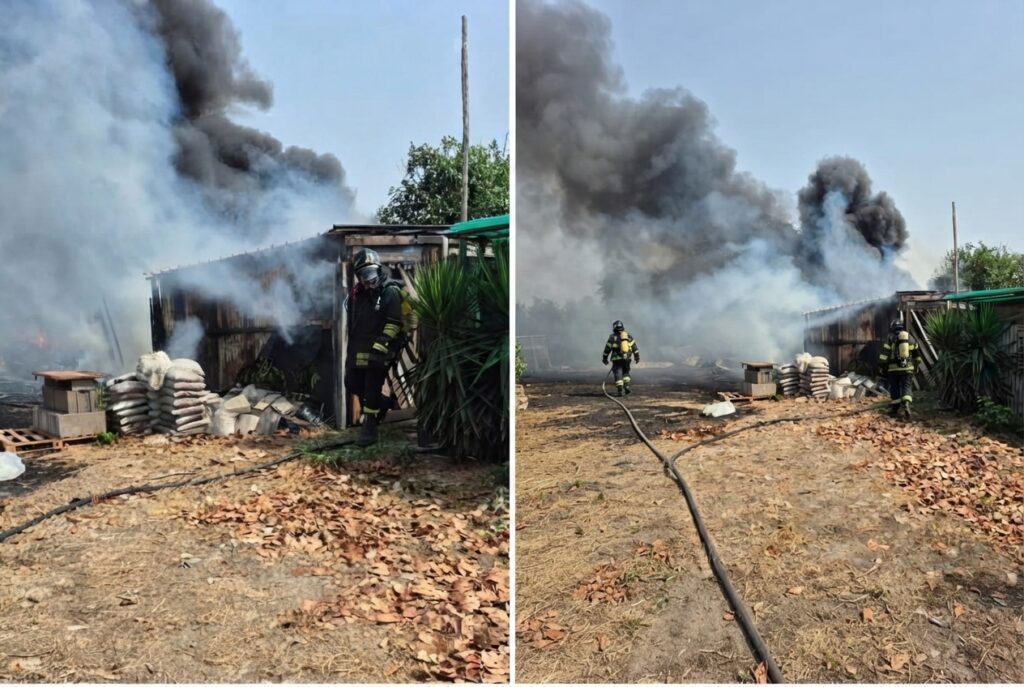 Massimiliano Metalli, responsabile del Dipartimento Vigili del Fuoco di Fratelli d'Italia Roma, chiede un controllo straordinario sull'area e chiama in causa le istituzioni capitoline, dopo l'incendio al Borghetto dei Pescatori