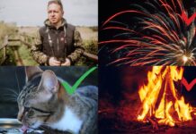 Festa di Ferragosto, appello della Lipu: "Rinunciare ad abitudini devastanti per animali a ambiente"