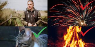Festa di Ferragosto, appello della Lipu: "Rinunciare ad abitudini devastanti per animali a ambiente"