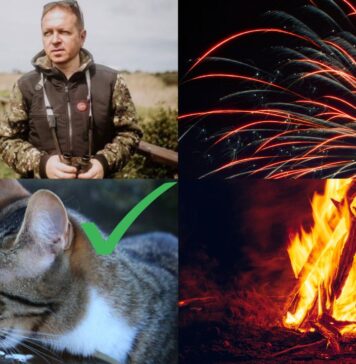Festa di Ferragosto, appello della Lipu: "Rinunciare ad abitudini devastanti per animali a ambiente"