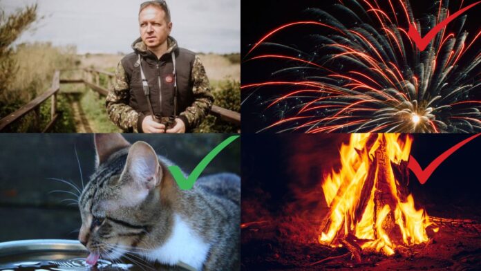 Festa di Ferragosto, appello della Lipu: "Rinunciare ad abitudini devastanti per animali a ambiente"