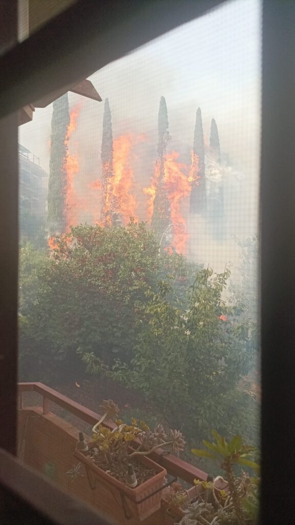 Incendi a Roma, dalle fiamme alla Magliana scatta il pugno duro: «Focolai da terreni privati, al via le multe» 1
