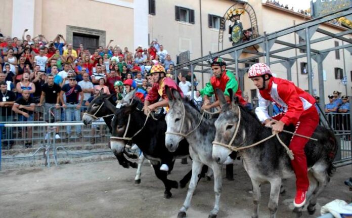 Palio-delle-contrade1