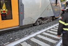 Roma, mucche su binari: treno deraglia vicino a stazione di Piana Bella a Montelibretti, nessun ferito