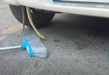 Serpente incastrato in auto a Pietralata: brutta sorpresa nell’abitacolo, interviente Andrea Lunerti