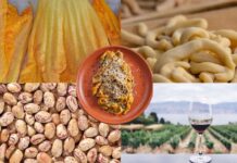 Sagre e processioni a Roma e nel Lazio dal 14 al 16 agosto 2026: programma e menù tra cibo, musica e prodotti locali