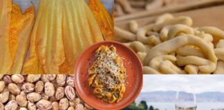 Sagre e processioni a Roma e nel Lazio dal 14 al 16 agosto 2026: programma e menù tra cibo, musica e prodotti locali