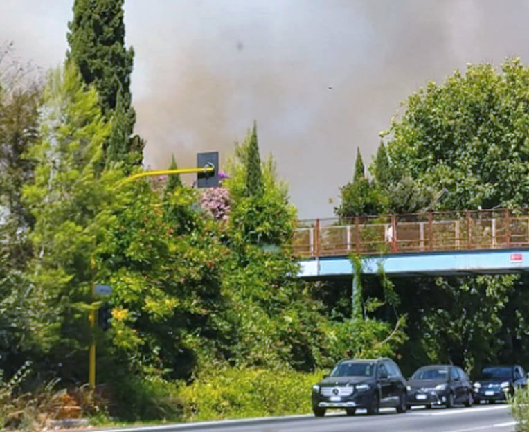 Rogo all'ex ippodromo di Tor di Valle: il terrore corre sui social per la nuova colonna di fumo tossico (FOTO) 2