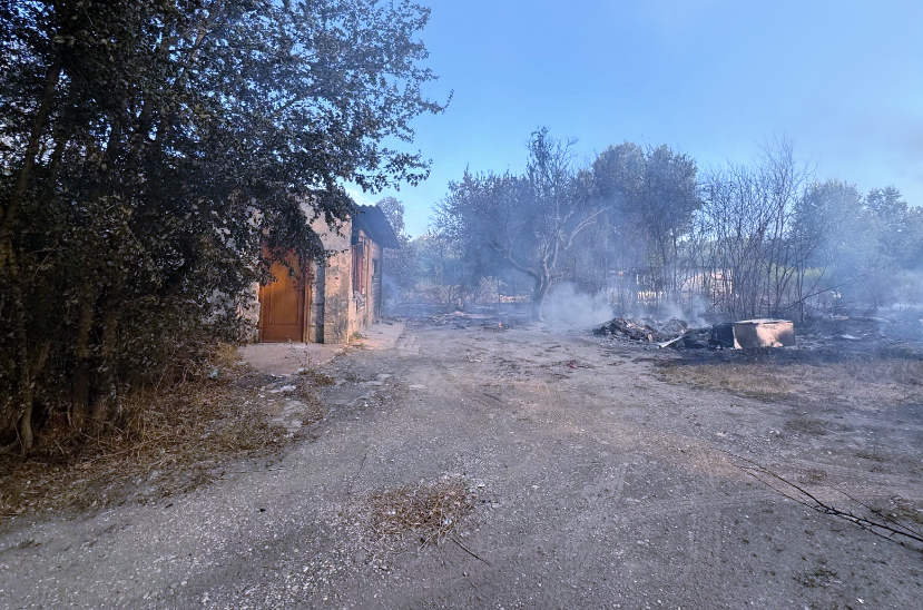 Rogo all'ex ippodromo di Tor di Valle: il terrore corre sui social per la nuova colonna di fumo tossico (FOTO) 3