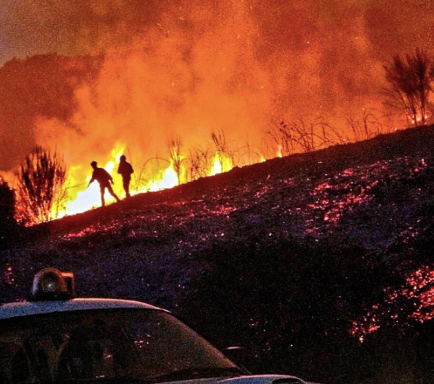Dramma senza fine sul Monte Tuscolo: la riattivazione notturna delle fiamme minaccia i centri abitati (FOTO) 1