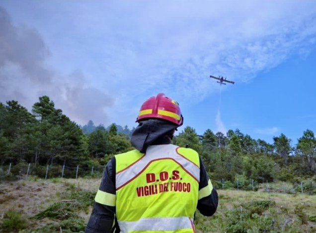 Roghi devastano la vegetazione a Roma e provincia: lanci da canadair ed elicotteri per salvare i boschi (FOTO e VIDEO) 1