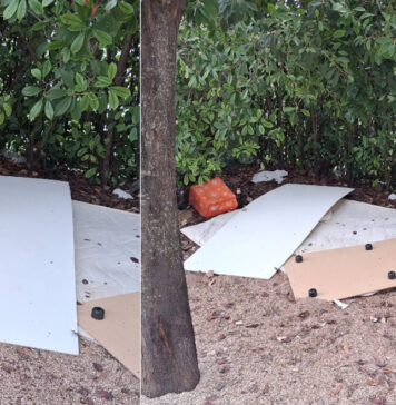 A un mese dal devastante rogo al Gazometro torna l’incubo discariche a Ponte della Scienza: nuova denuncia (FOTO) Home 1