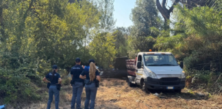 Intervento della polizia e bonifica della Pineta delle Acque Rosse dopo le segnalazioni dei residenti, con controlli estesi anche al centro e sul lungomare