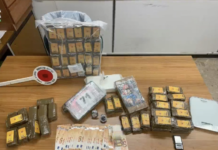Operazione antidroga della Guardia di Finanza a Castelverde: decisivo il fiuto del cane Holly per oltre 3 chili di cocaina e 10 di hashish, convalidati i domiciliari per i due indagati