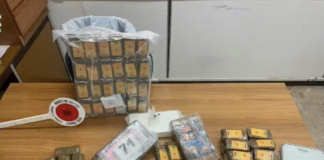 Operazione antidroga della Guardia di Finanza a Castelverde: decisivo il fiuto del cane Holly per oltre 3 chili di cocaina e 10 di hashish, convalidati i domiciliari per i due indagati