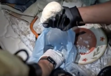 Cinque arresti della Polizia di Stato tra Nettuno, Primavalle, Velletri e il centro storico. Tre dei pusher arrestati erano già sottoposti a obbligo di firma o arresti domiciliari, gli altri due fermati in strada