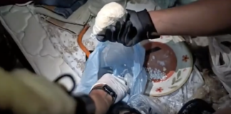 Cinque arresti della Polizia di Stato tra Nettuno, Primavalle, Velletri e il centro storico. Tre dei pusher arrestati erano già sottoposti a obbligo di firma o arresti domiciliari, gli altri due fermati in strada
