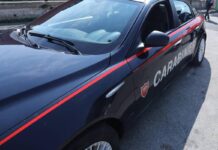 Travolge e uccide 33enne, poi scappa: identificato il pirata della strada, è un 29enne