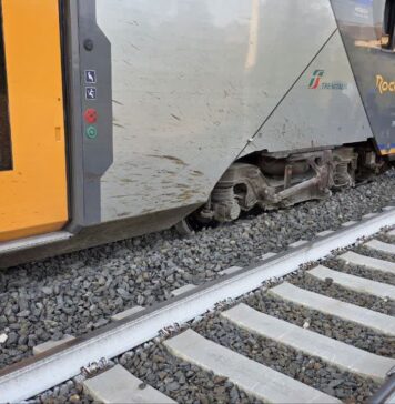 Momenti di paura all'alba alla stazione di Piana Bella per un treno deragliato a Montelibretti dopo l'impatto con due mucche. Non si registrano feriti