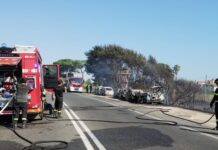 Il vento forte ha spinto le fiamme e allargato il rogo: l'intervento dei Vigili del fuoco per domare l'incendio a Santa Marinella