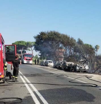 Il vento forte ha spinto le fiamme e allargato il rogo: l'intervento dei Vigili del fuoco per domare l'incendio a Santa Marinella