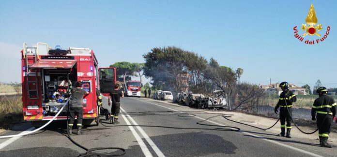WhatsApp Image 2026-08-06 at 17.55.20 Il vento forte ha spinto le fiamme e allargato il rogo: l'intervento dei Vigili del fuoco per domare l'incendio a Santa Marinella