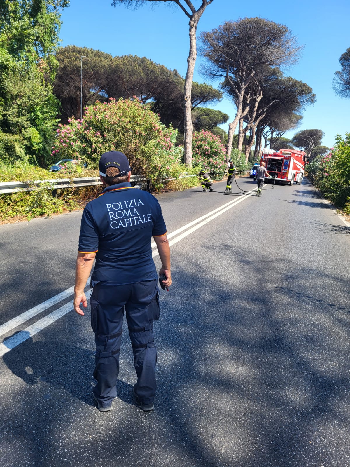 Incendio sulla Via del Mare a Ostia: fiamme nello spartitraffico e strada chiusa (FOTO) 3
