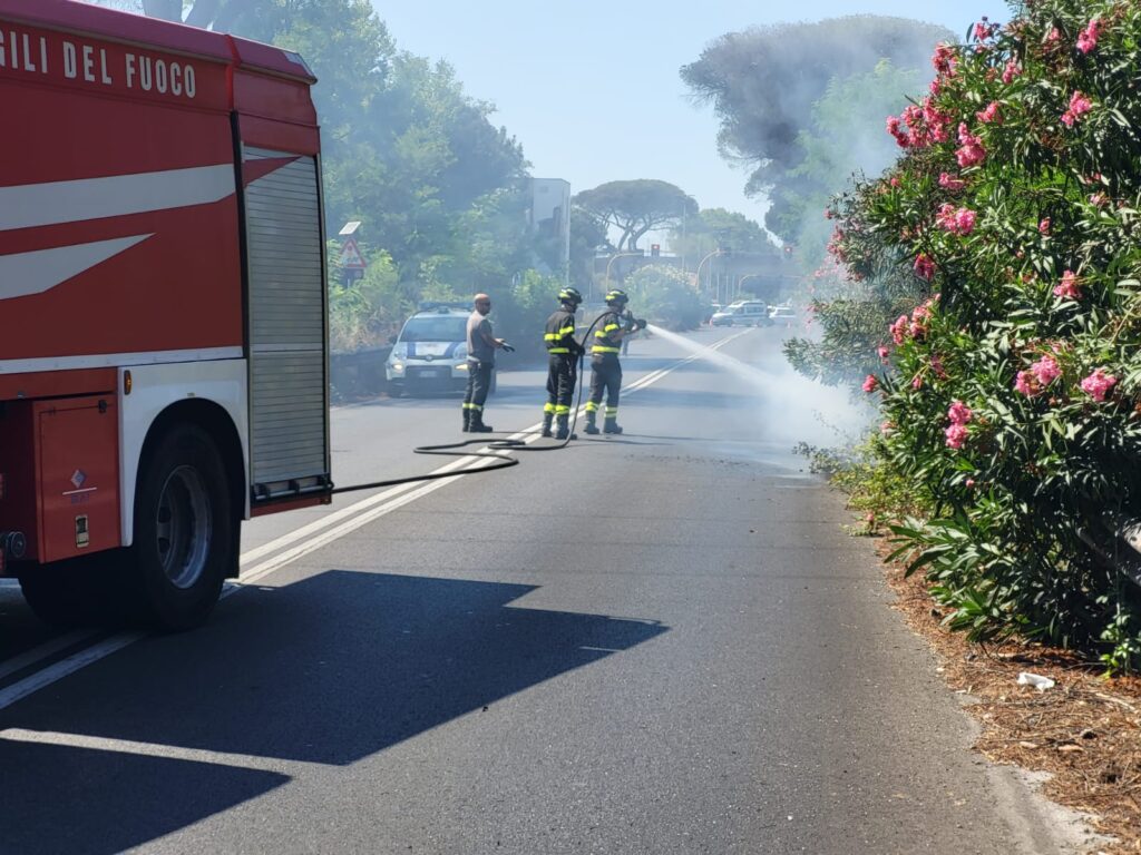 Incendio sulla Via del Mare a Ostia: fiamme nello spartitraffico e strada chiusa (FOTO) 1