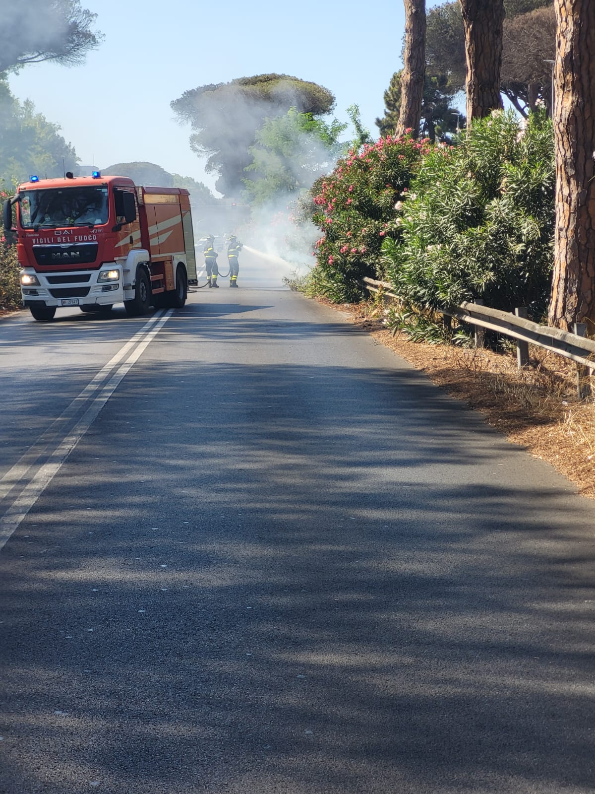 Incendio sulla Via del Mare a Ostia: fiamme nello spartitraffico e strada chiusa (FOTO) 2