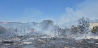 L'area nei pressi dell'ex Jack's continua a versare in condizioni di totale abbandono. Metalli: "Il terreno interessato dall’incendio è di proprietà del Comune di Roma"
