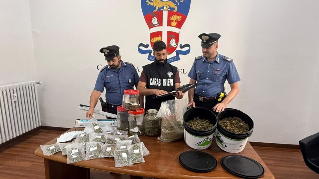 Un'operazione dei Carabinieri della Compagnia di Castel Gandolfo ha portato al sequestro di canapa e all'arresto di tre persone: la ricostruzione di quanto emerso